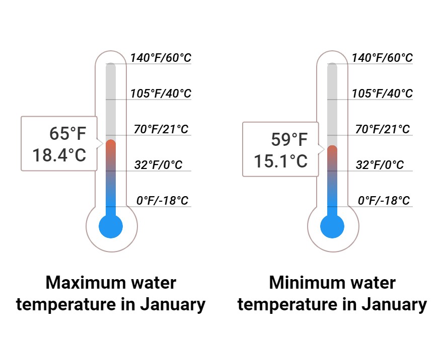 Average Sea temperature